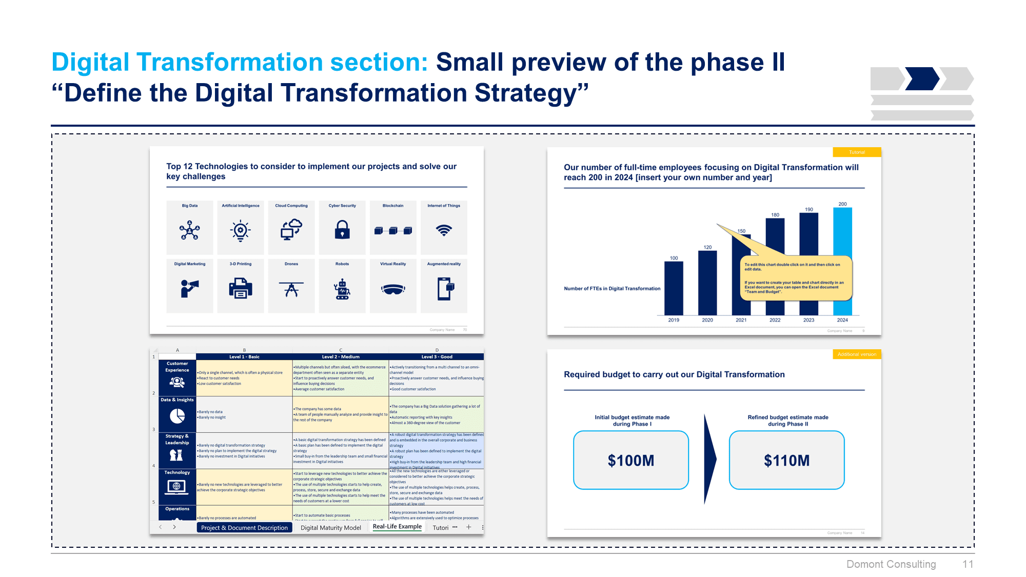 Digital Transformation and IT Strategy Toolkit - Image 12